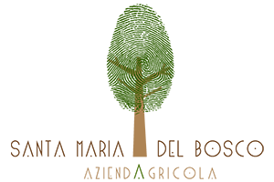 logo-santamariadelbosco